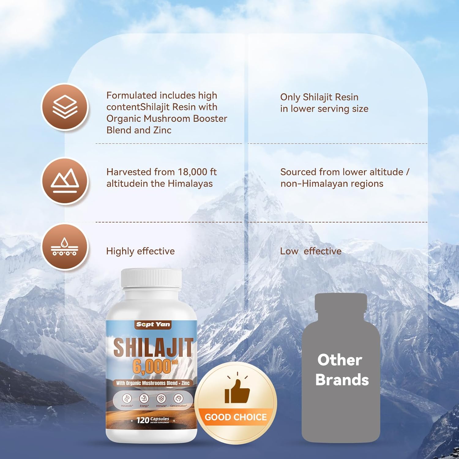 Organic Shilajit Himalayan Capsules with Mushrooms & Zinc - 2 Month Supply for Strength & Immune Health - 120 Count Vegan Supplement for Women & Men