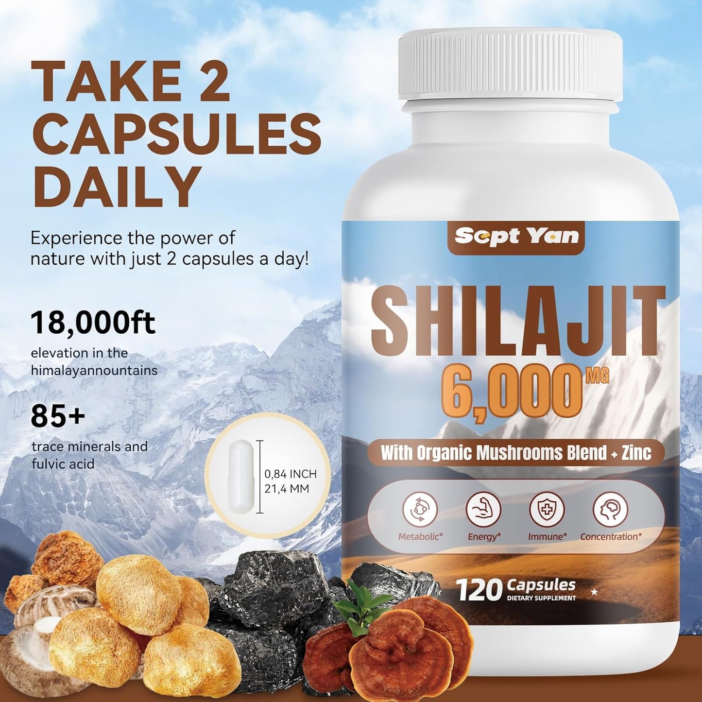Organic Shilajit Himalayan Capsules with Mushrooms & Zinc - 2 Month Supply for Strength & Immune Health - 120 Count Vegan Supplement for Women & Men