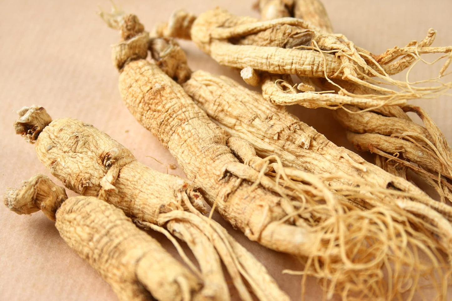 Organic Siberian Ginseng Root Extract - Alcohol-Free 2oz - Adaptogen for Stress & Immune Support - Cold Fulvic Mineral Water Extracted - BoostGo Australia