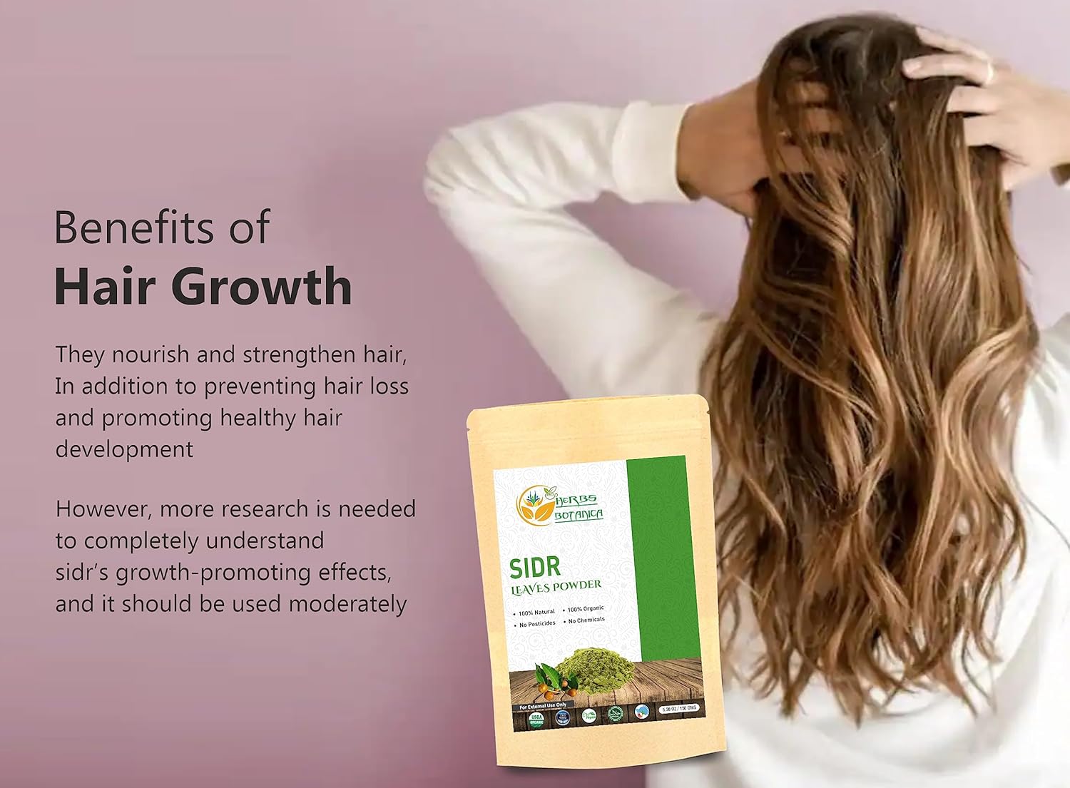 Organic Sidr Leaves Powder for Health Support & Digestion | Handpicked & Finely Ground for Maximum Nutrients 5.3 oz