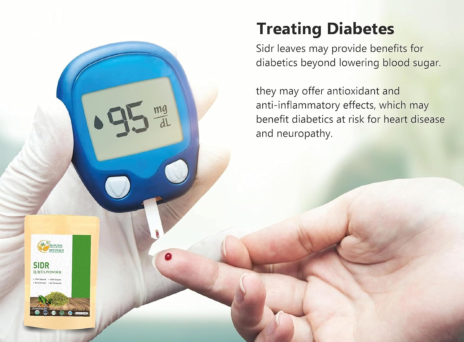 Organic Sidr Leaves Powder for Health Support & Digestion | Handpicked & Finely Ground for Maximum Nutrients 5.3 oz