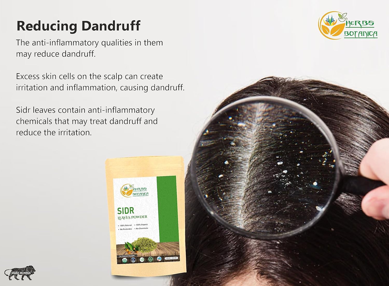 Organic Sidr Leaves Powder for Health Support & Digestion | Handpicked & Finely Ground for Maximum Nutrients 5.3 oz