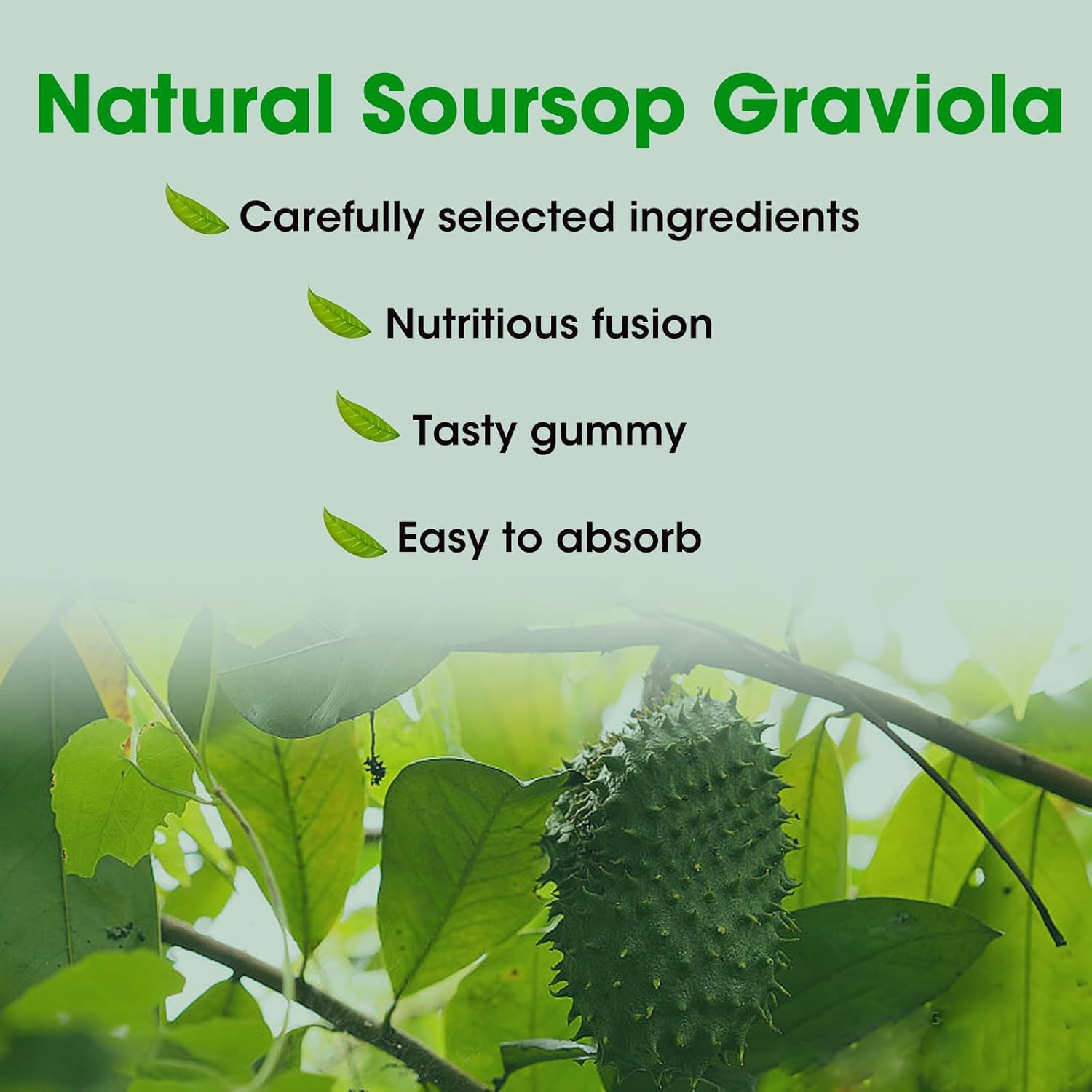 Organic Soursop Graviola Gummies 2000mg for Antioxidant & Immune Support - Vegan Green Apple Flavor - 60 Gummies