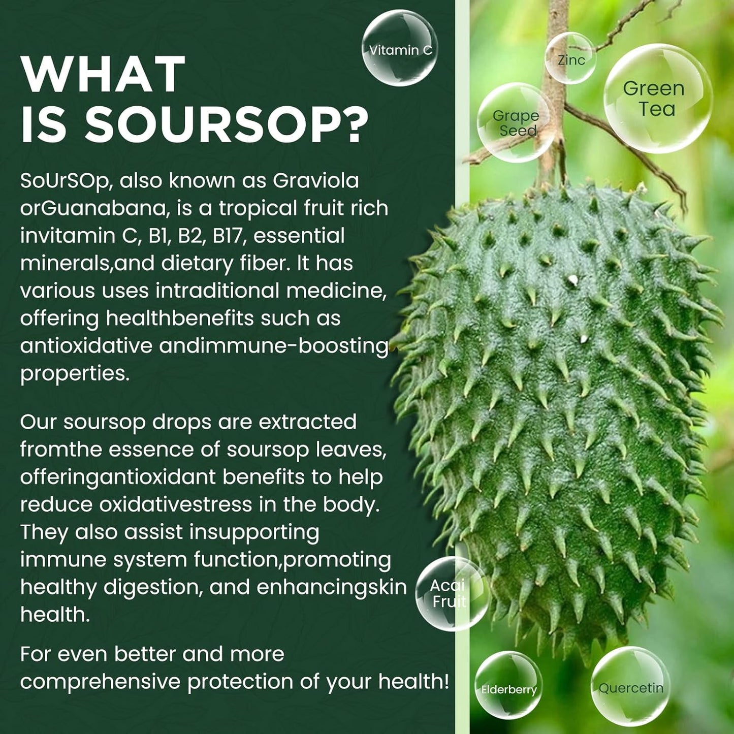Organic Soursop Graviola Liquid Drops with Elderberry & Quercetin - Immune Boosting Herbal Supplement