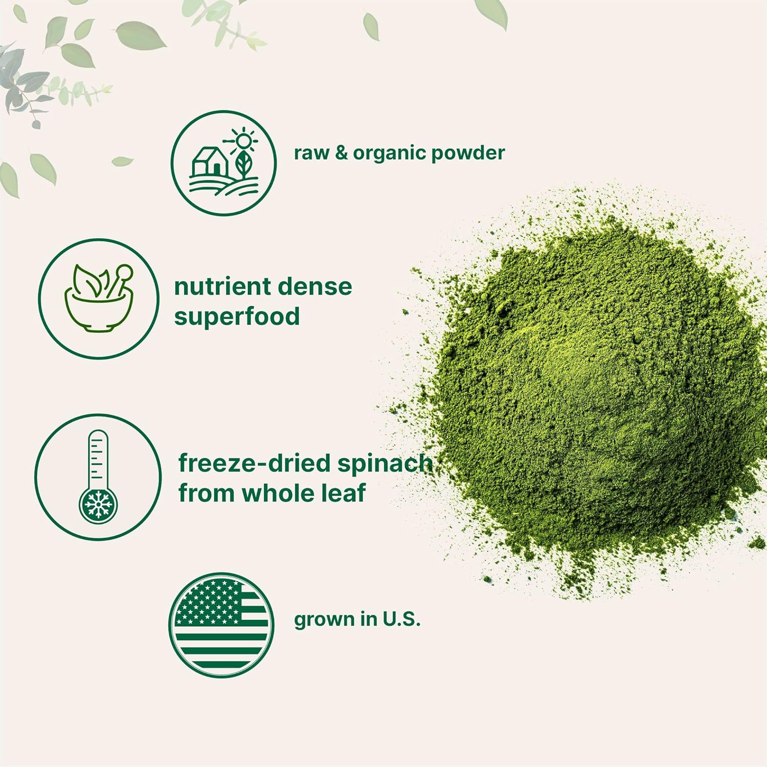 Organic Spinach Powder - 1lb, Freeze Dried from Whole Leaf, Rich in Thylakoids & Chlorophyll - Non-GMO, Vegan-Friendly, Multivitamin-Rich - BoostGo Australia