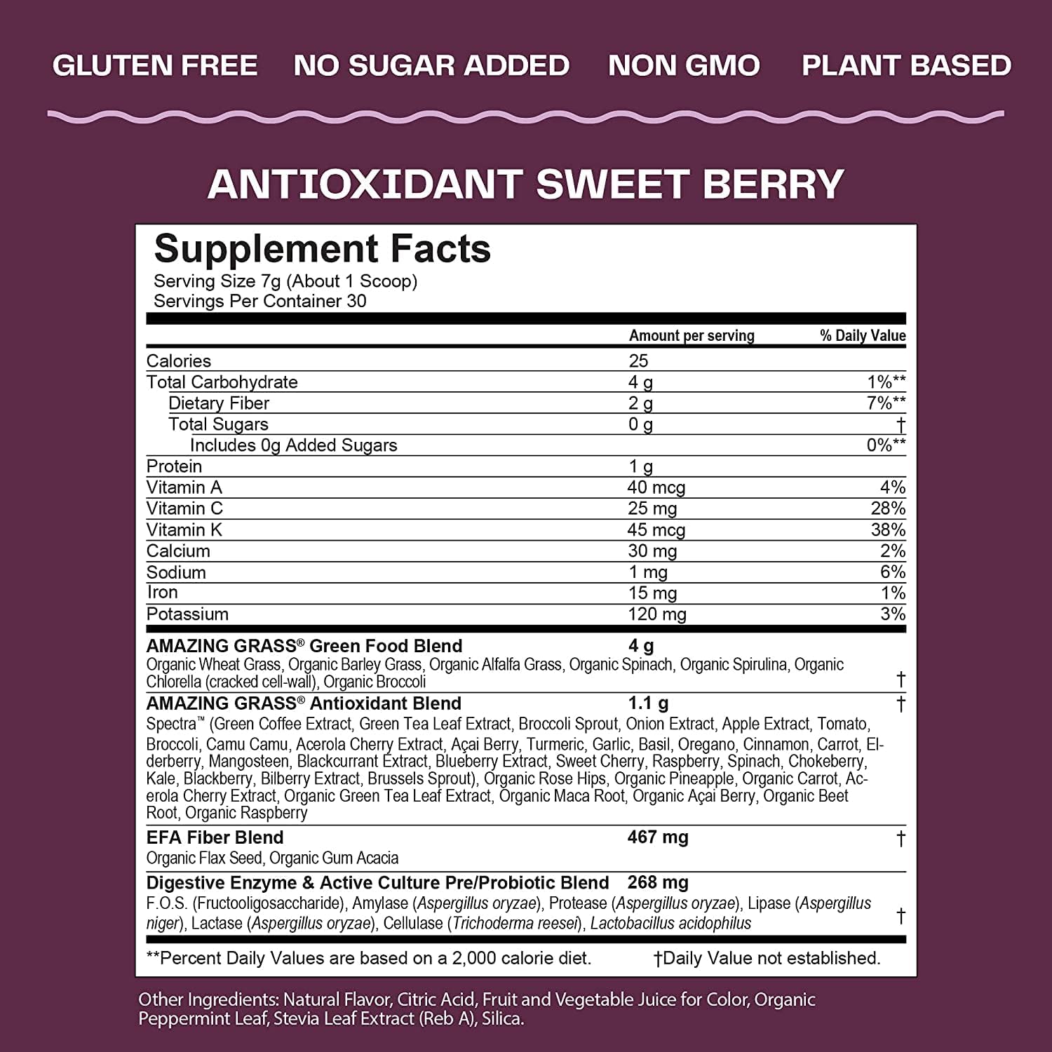 Organic Spirulina & Elderberry Greens Superfood Antioxidant Powder with Probiotics - Sweet Berry Flavor, 15 Servings