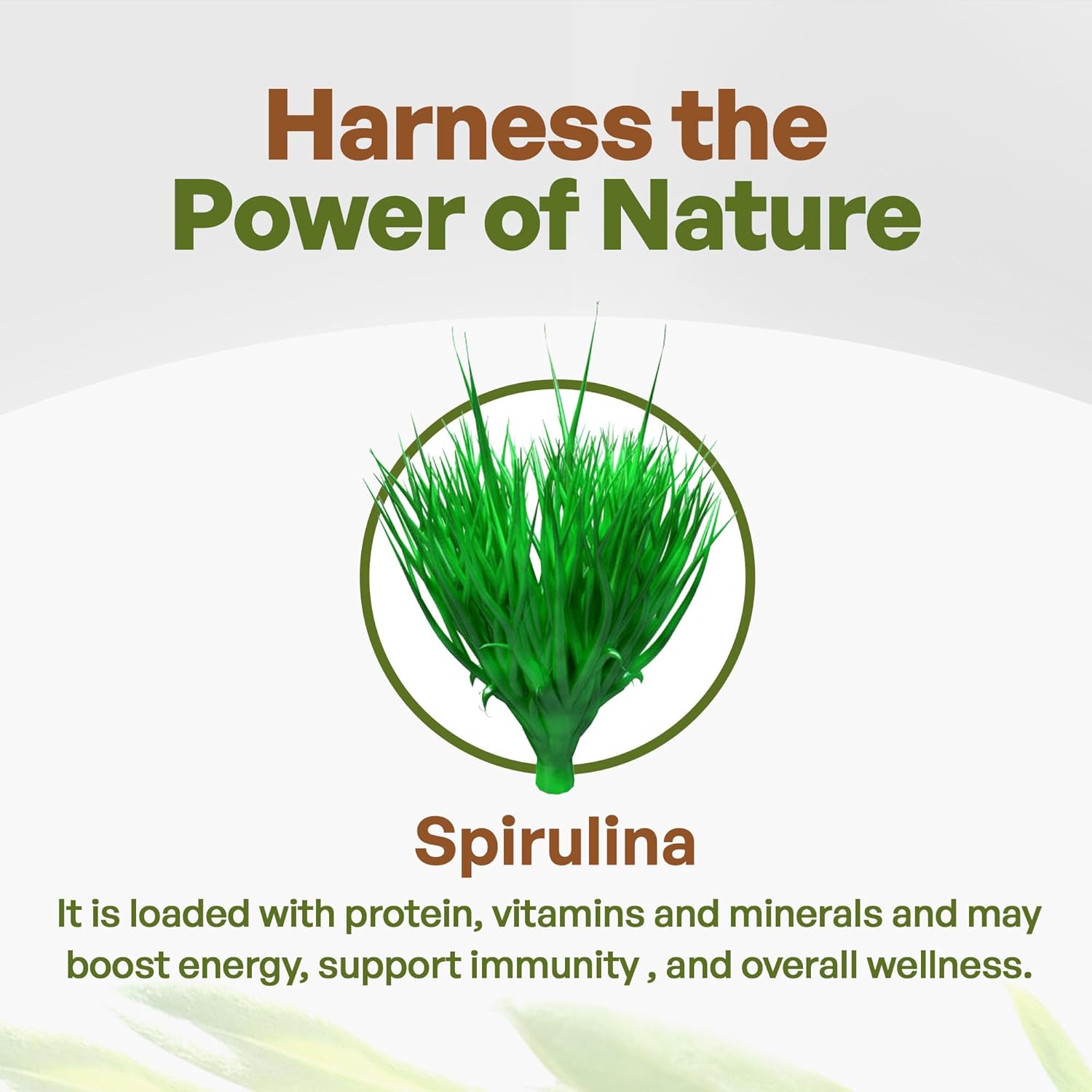 Organic Spirulina Powder - Non GMO Superfood Rich in Antioxidants, Minerals, Fiber & Protein - Vegan-Friendly - 1 lb.
