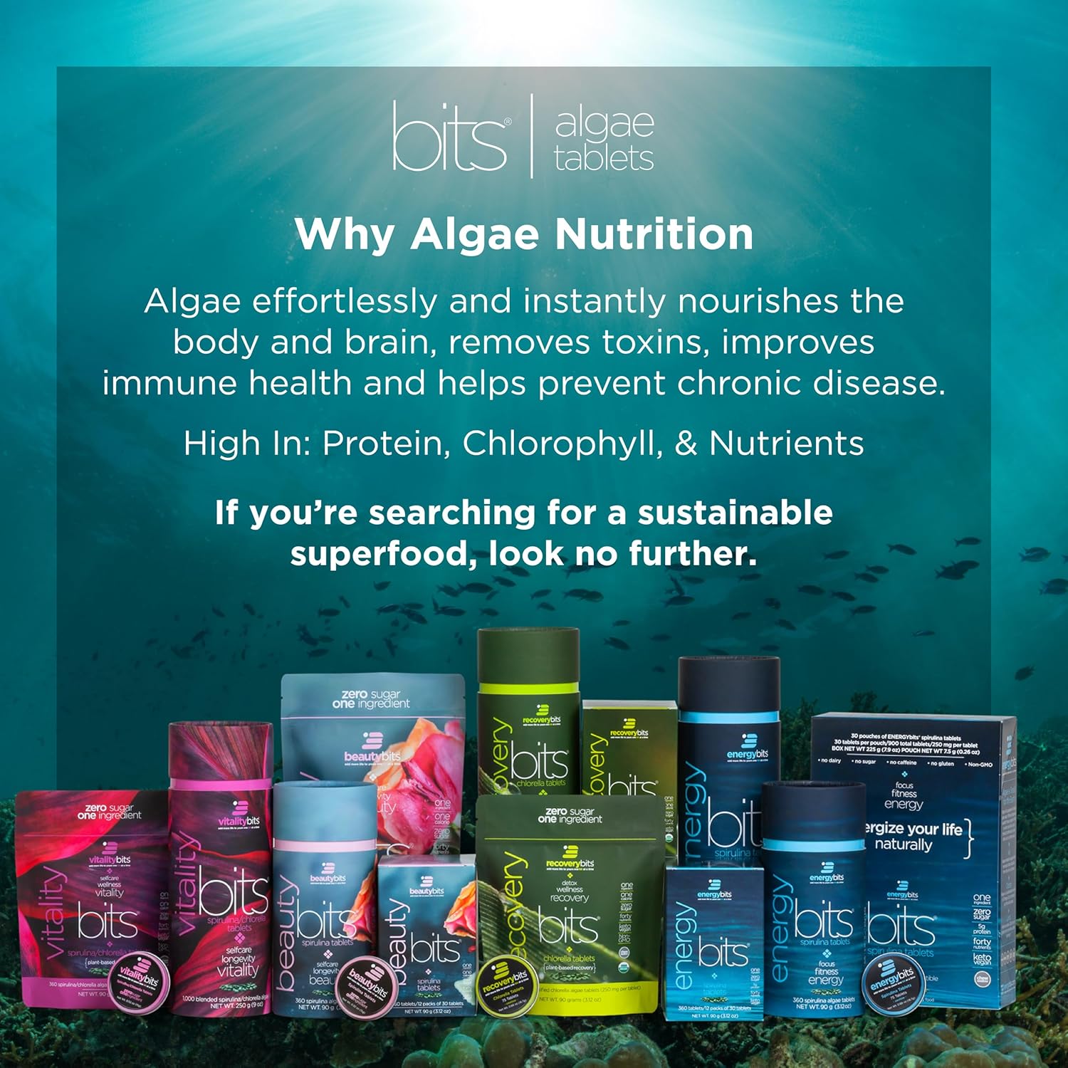 Organic Spirulina Tablets for Hair, Nails, and Skin - Algae Superfood with Collagen, Protein, and Chlorophyll - Vegan, Keto, Gluten Free - 1000 Tablet Can - BoostGo Australia