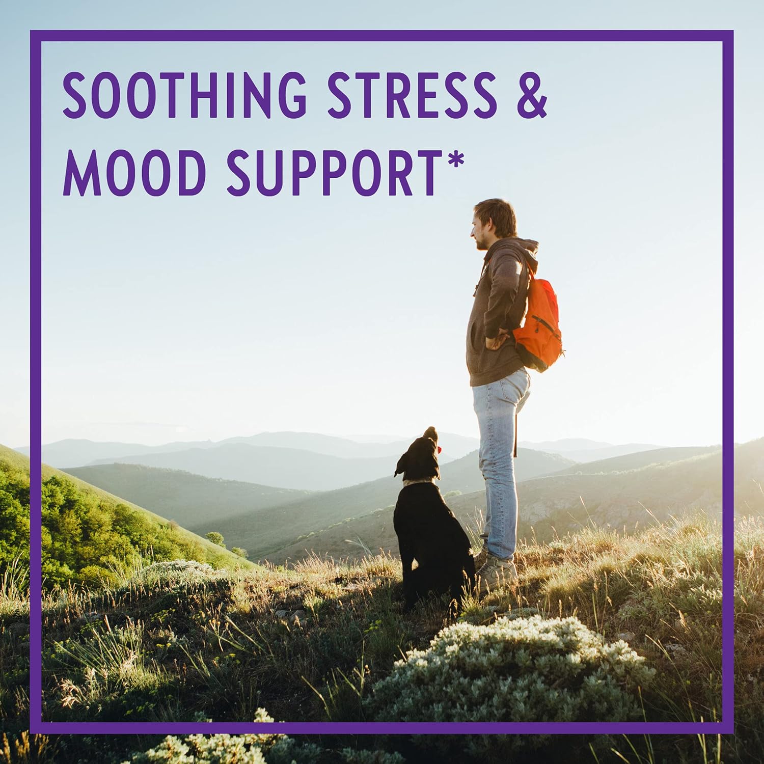 Organic Stress & Mood Support Multivitamin with B Vitamins - New Chapter Calming Supplement with Holy Basil & Lemon Balm, 72 Count