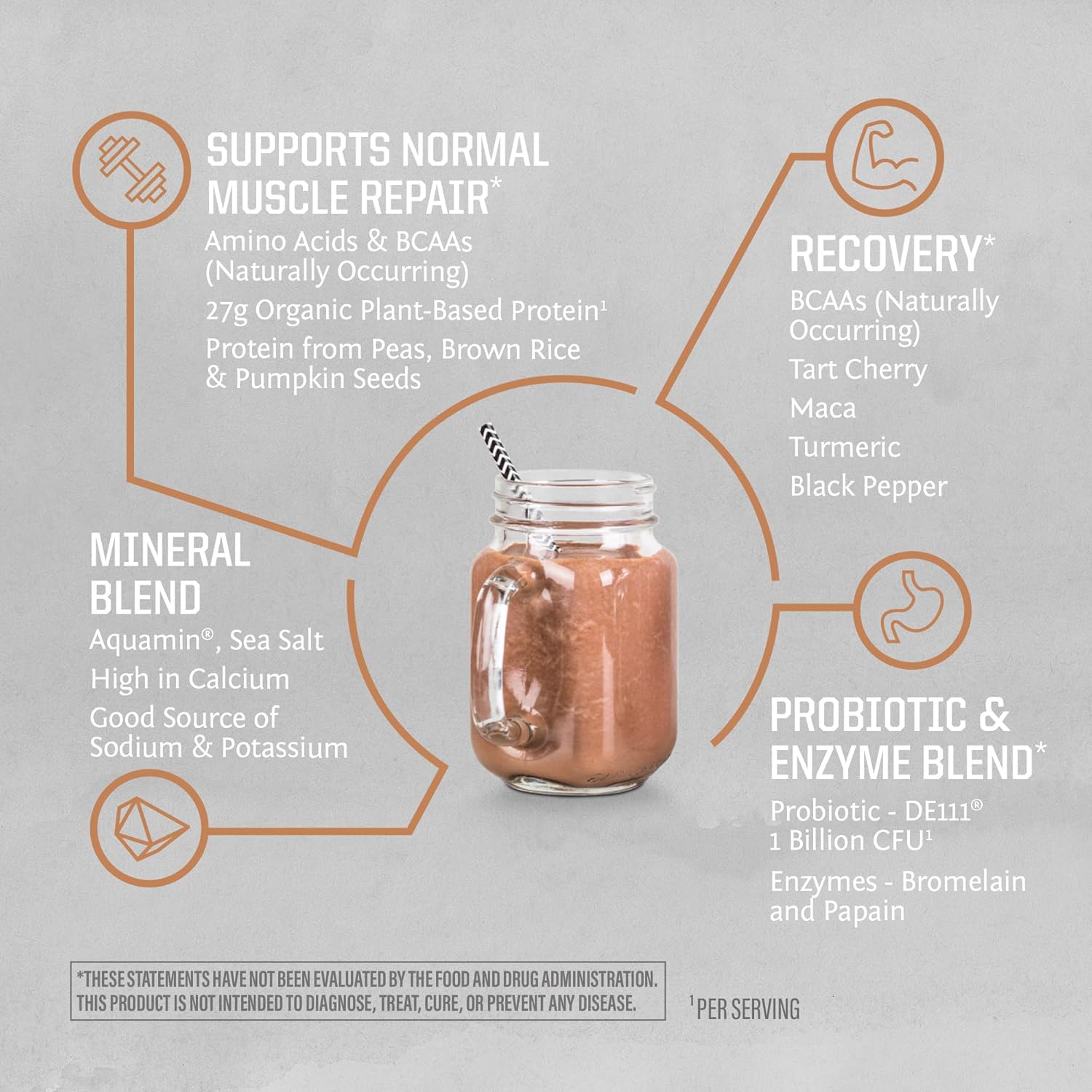 Organic Sunwarrior Vegan Protein Powder Peanut Butter Chocolate Flavor | Plant-Based BCAAs | 27g Protein per Serving | Non-GMO, Gluten-Free, Dairy-Free | Sugar-Free Sport Protein Powder (20 Servings)