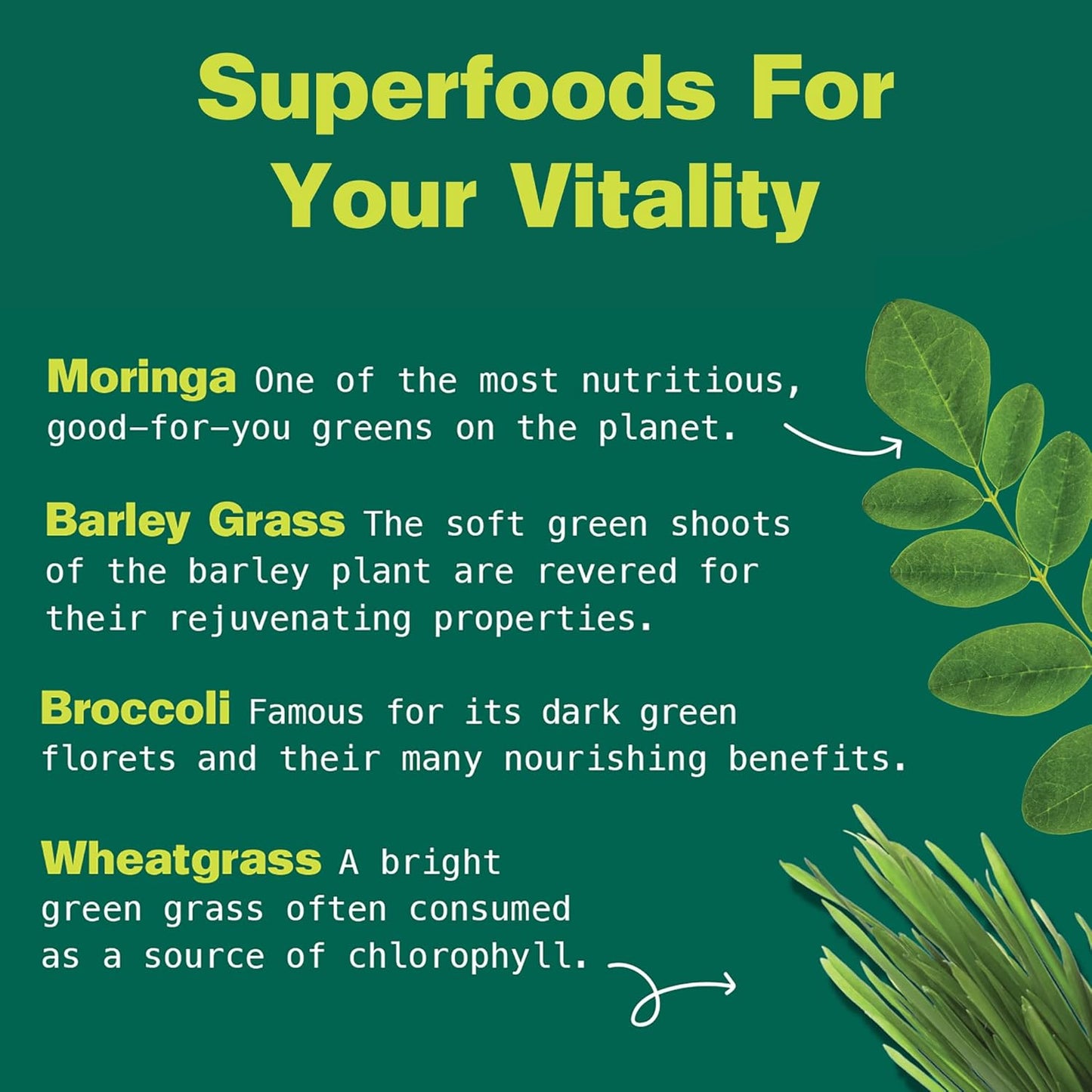 Organic Super Greens Powder with Moringa, Wheatgrass, Broccoli & Barley Grass - 6 oz Plant Based Superfood Powder from Remote Farms