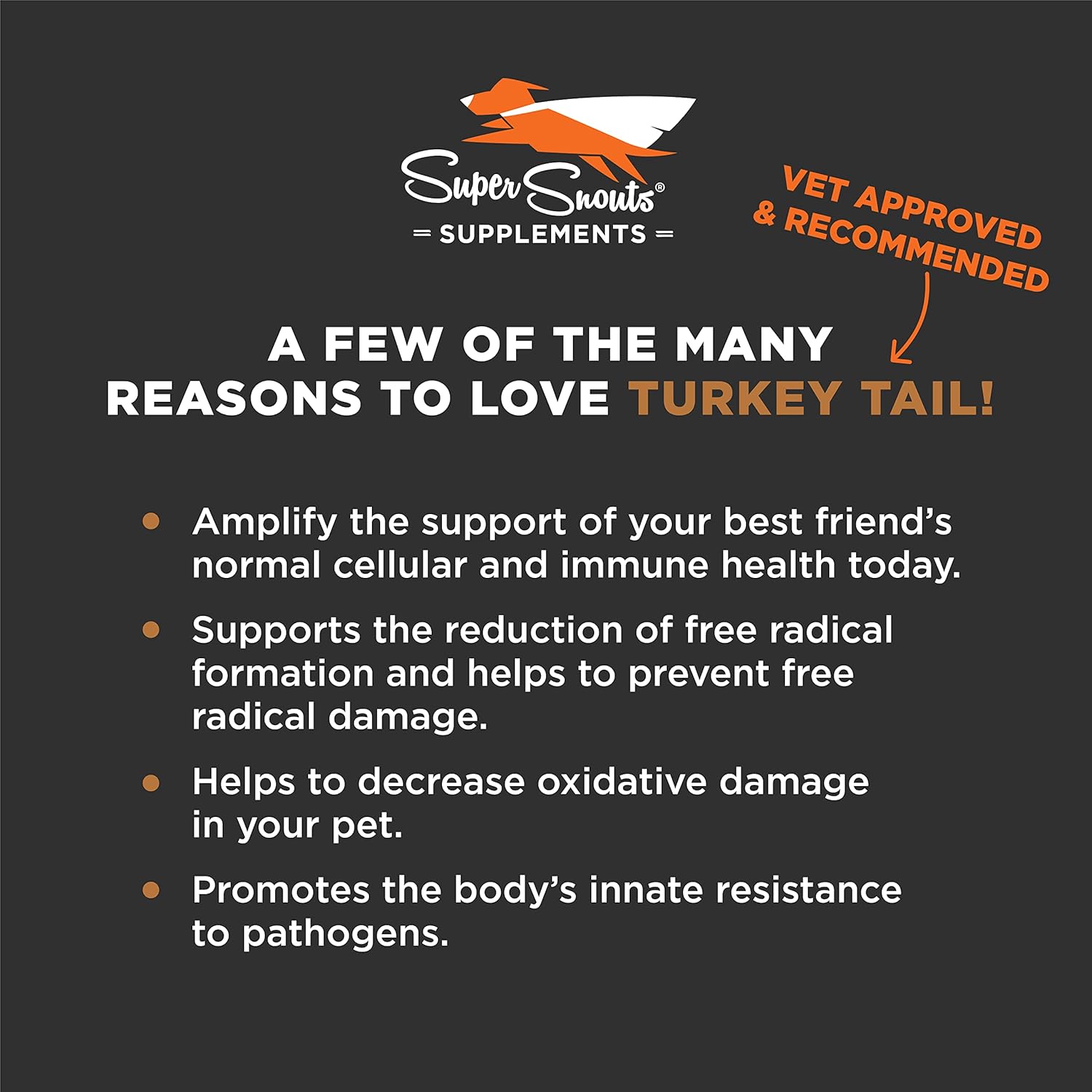 Organic Super Snouts Turkey Tail Mushroom Supplement Powder for Dogs & Cats - 2.64 oz, Made in USA, Antioxidant, Inflammation, Immune Support