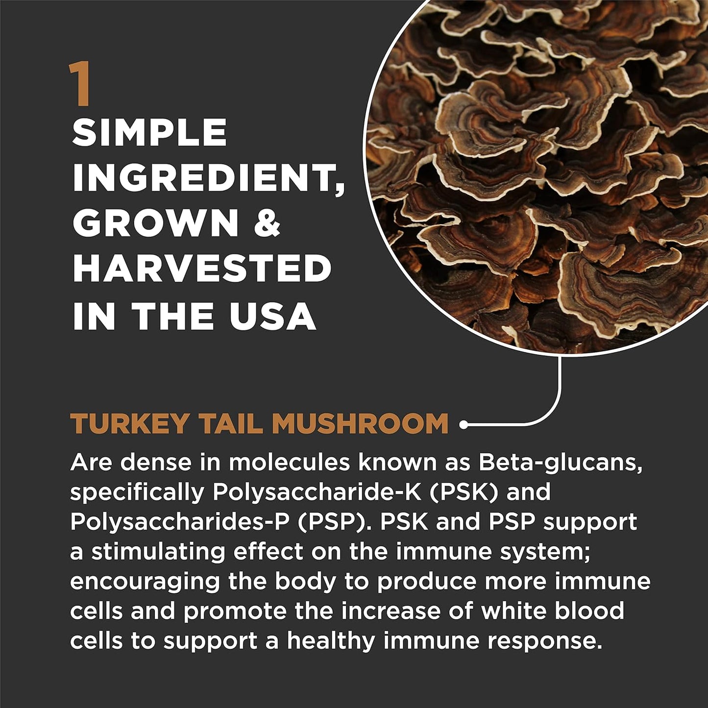 Organic Super Snouts Turkey Tail Mushroom Supplement Powder for Dogs & Cats - 2.64 oz, Made in USA, Antioxidant, Inflammation, Immune Support