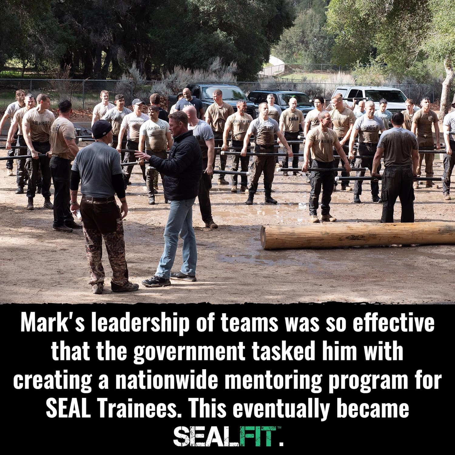 Organic Superfood + Electrolyte Powder by SEALFIT - Energizing Greens Blend with 25+ Superfoods for Hydration. Inspired by Navy Seal Mark Divine.