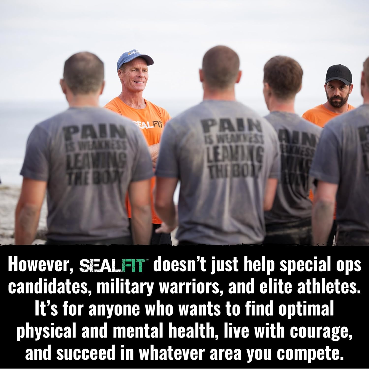 Organic Superfood + Electrolyte Powder by SEALFIT - Energizing Greens Blend with 25+ Superfoods for Hydration. Inspired by Navy Seal Mark Divine.