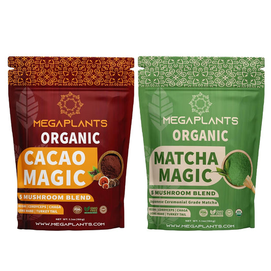 Organic Superfood Mushroom Powder Blend for Focus & Energy - Cacao & Matcha Magic (50 Servings)