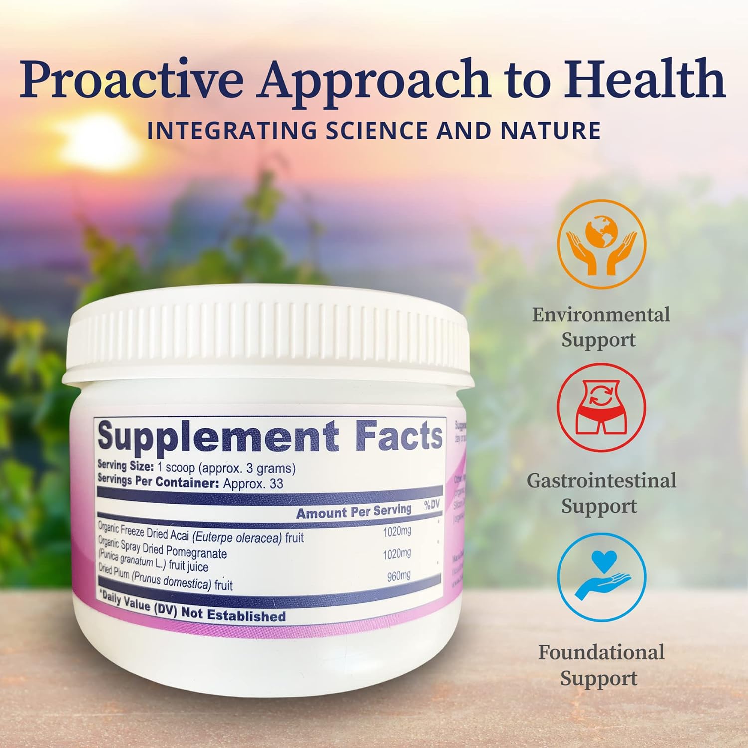 Organic Superfruit Dietary Supplement for Gut Health, Immune Support, and Wellness - BioPure Deep Purple - 100g