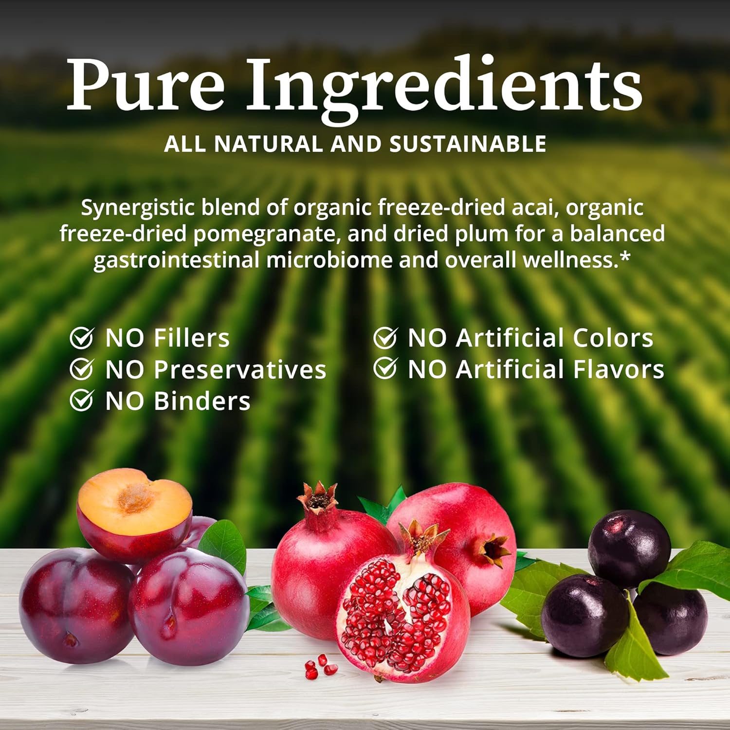 Organic Superfruit Dietary Supplement for Gut Health, Immune Support, and Wellness - BioPure Deep Purple - 100g