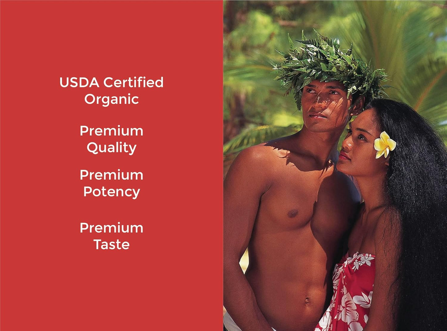 Organic Tahiti Trader Island Style High Potency Noni Juice - Pure Noni Fruit Vinegar - Antioxidant Superfood for Energy & Health - 32oz