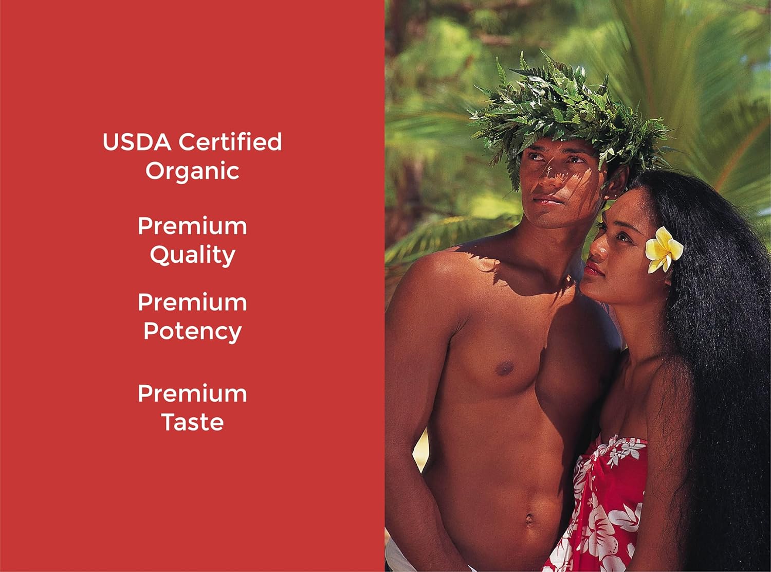 Organic Tahiti Trader Island Style High Potency Noni Juice - Pure Noni Fruit Vinegar - Antioxidant Superfood for Energy & Health - 32oz, 4 Pack