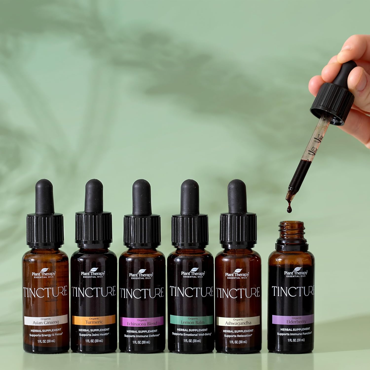 Organic Tincture Beginner Set - Ashwagandha, Ginseng, Echinacea, Elderberry, Lemon Balm, Turmeric - 30 mL Each