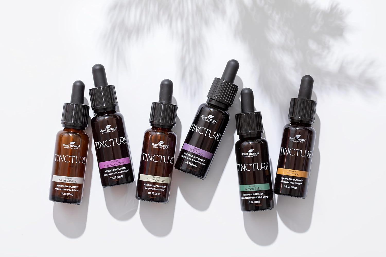 Organic Tincture Beginner Set - Ashwagandha, Ginseng, Echinacea, Elderberry, Lemon Balm, Turmeric - 30 mL Each