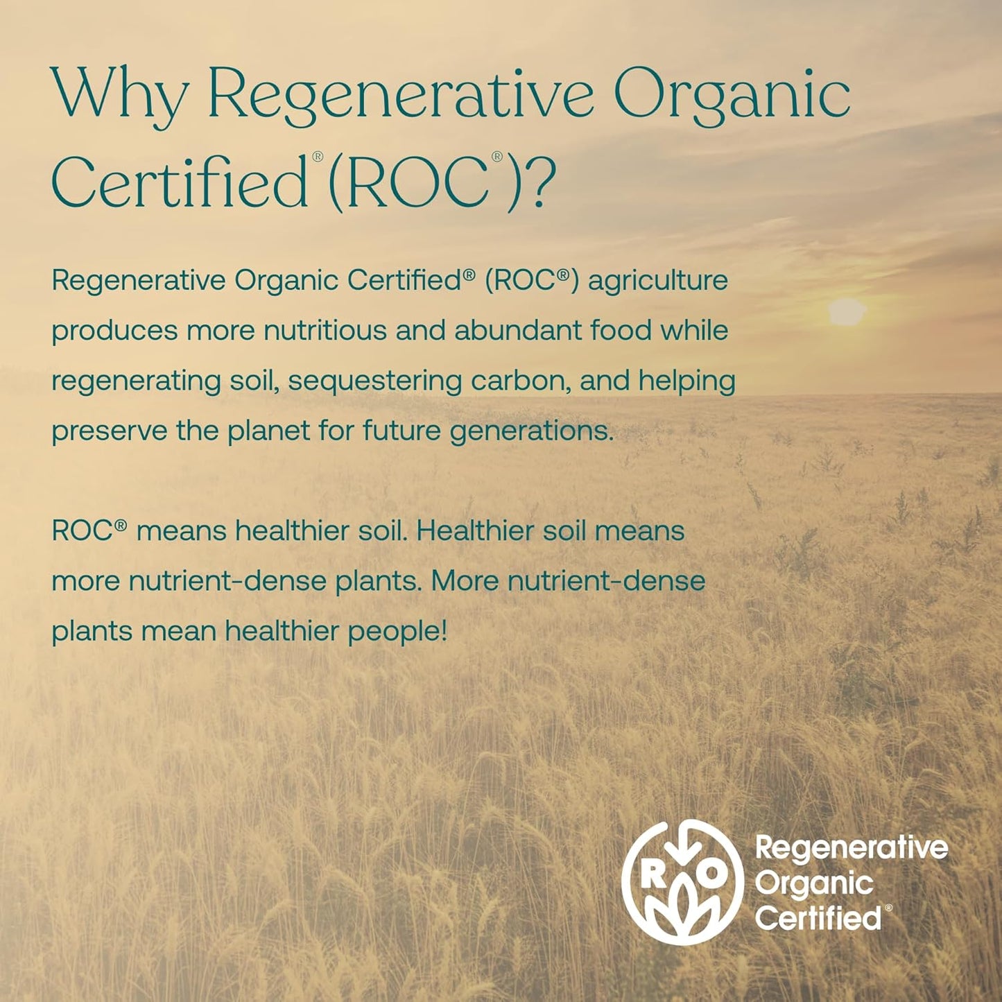 Organic True Grace True Littles MicroVeggies Superfood Powder for Kids - 0.4 oz - Immune Support - Gluten & Soy Free - Vegan - 30 Servings