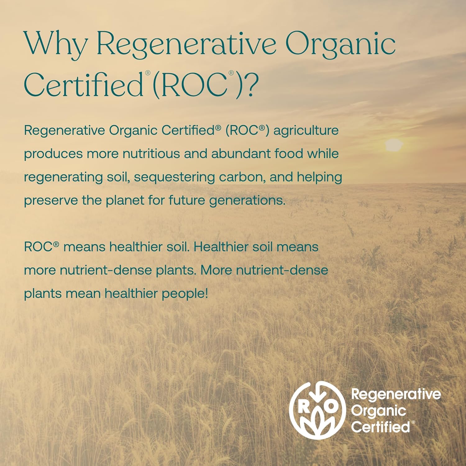 Organic True Grace True Littles MicroVeggies Superfood Powder for Kids - 0.4 oz - Immune Support - Gluten & Soy Free - Vegan - 30 Servings