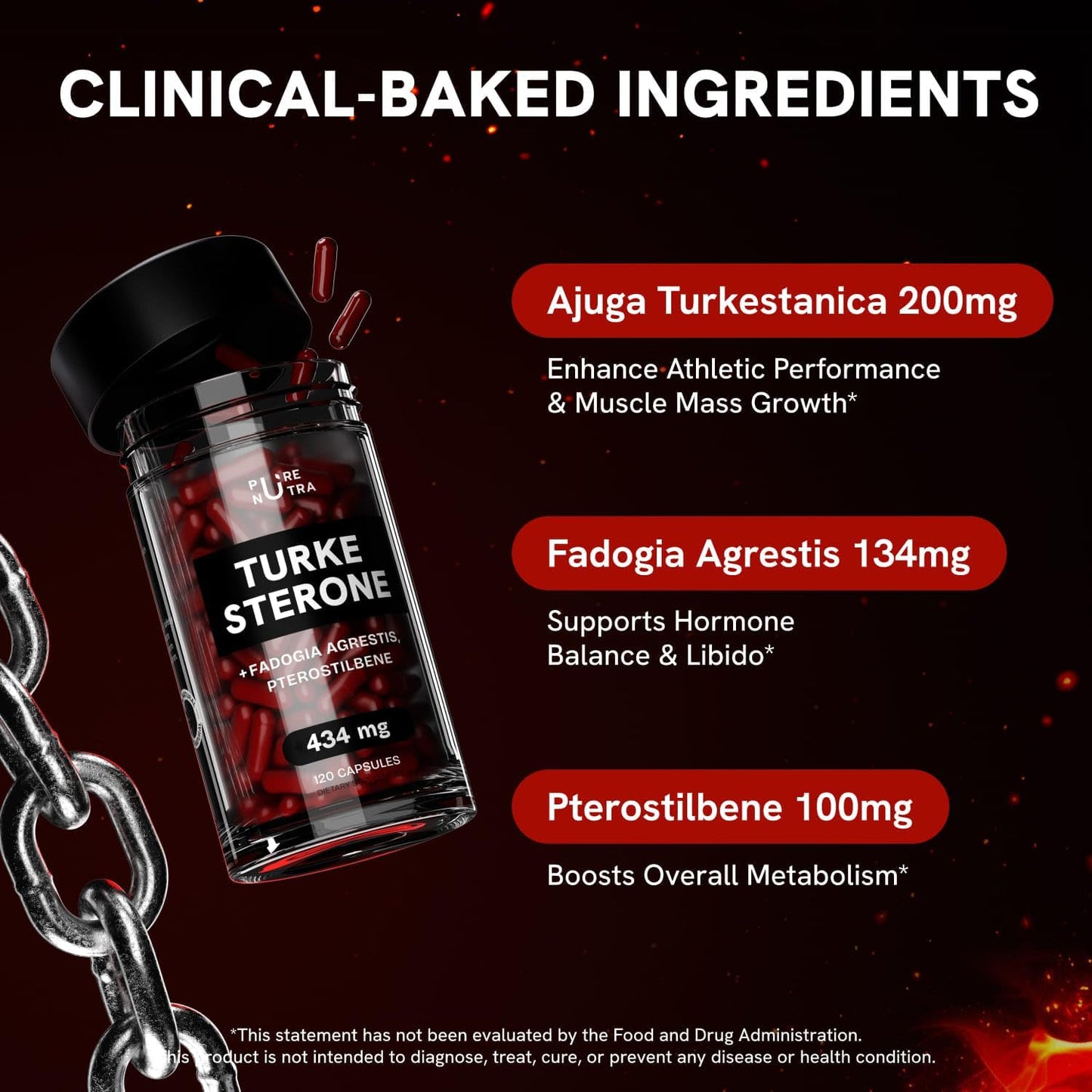 Organic Turkesterone Supplement for Men - Muscle Growth Formula with Fadogia Agrestis, Pterostilbene | 120 Count Powder