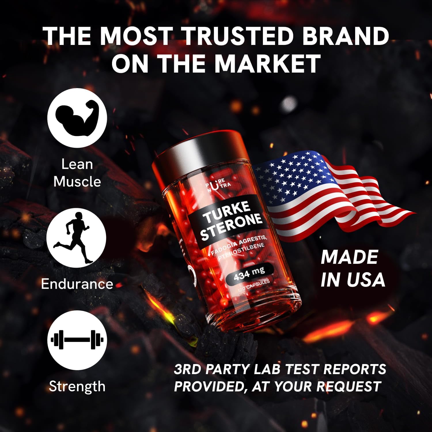 Organic Turkesterone Supplement for Men - Muscle Growth Formula with Fadogia Agrestis, Pterostilbene | 120 Count Powder