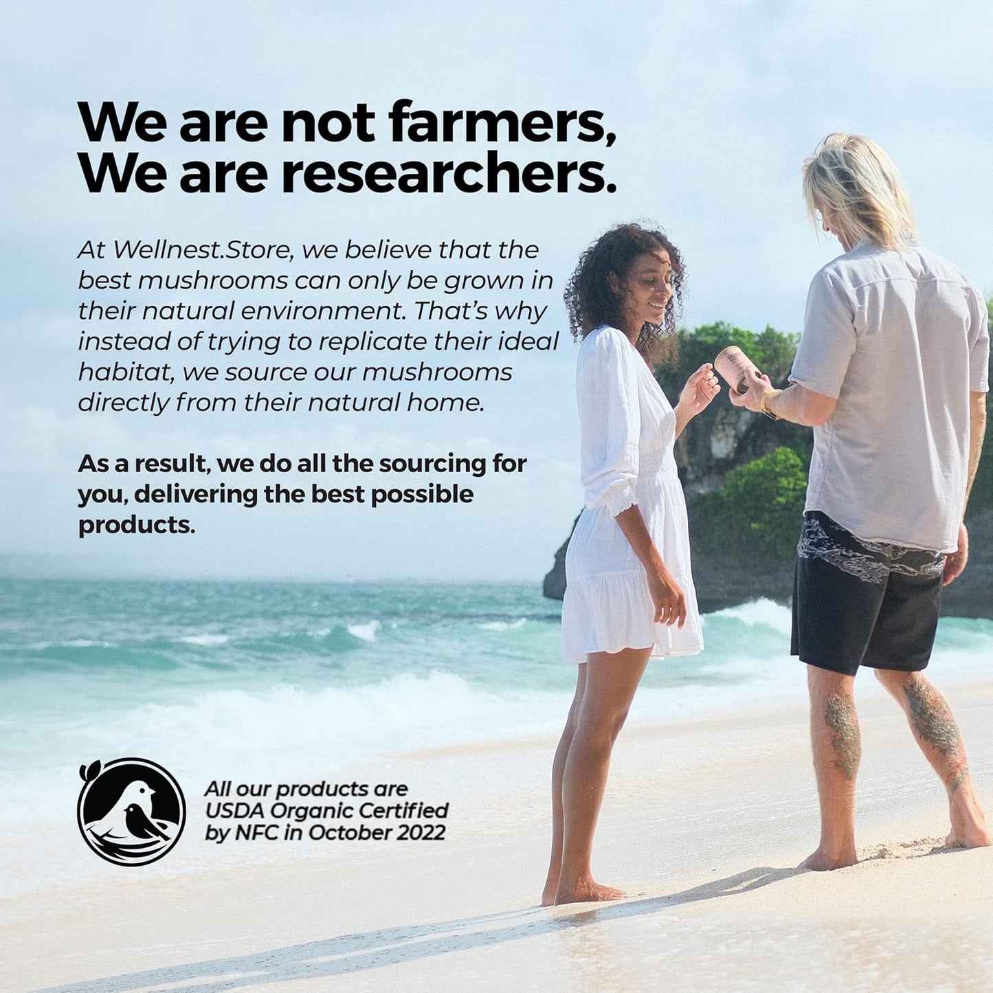 Organic Turkey Tail Mushroom Extract Capsules for Immune Support and Energy Boost - 60 Veggie Capsules