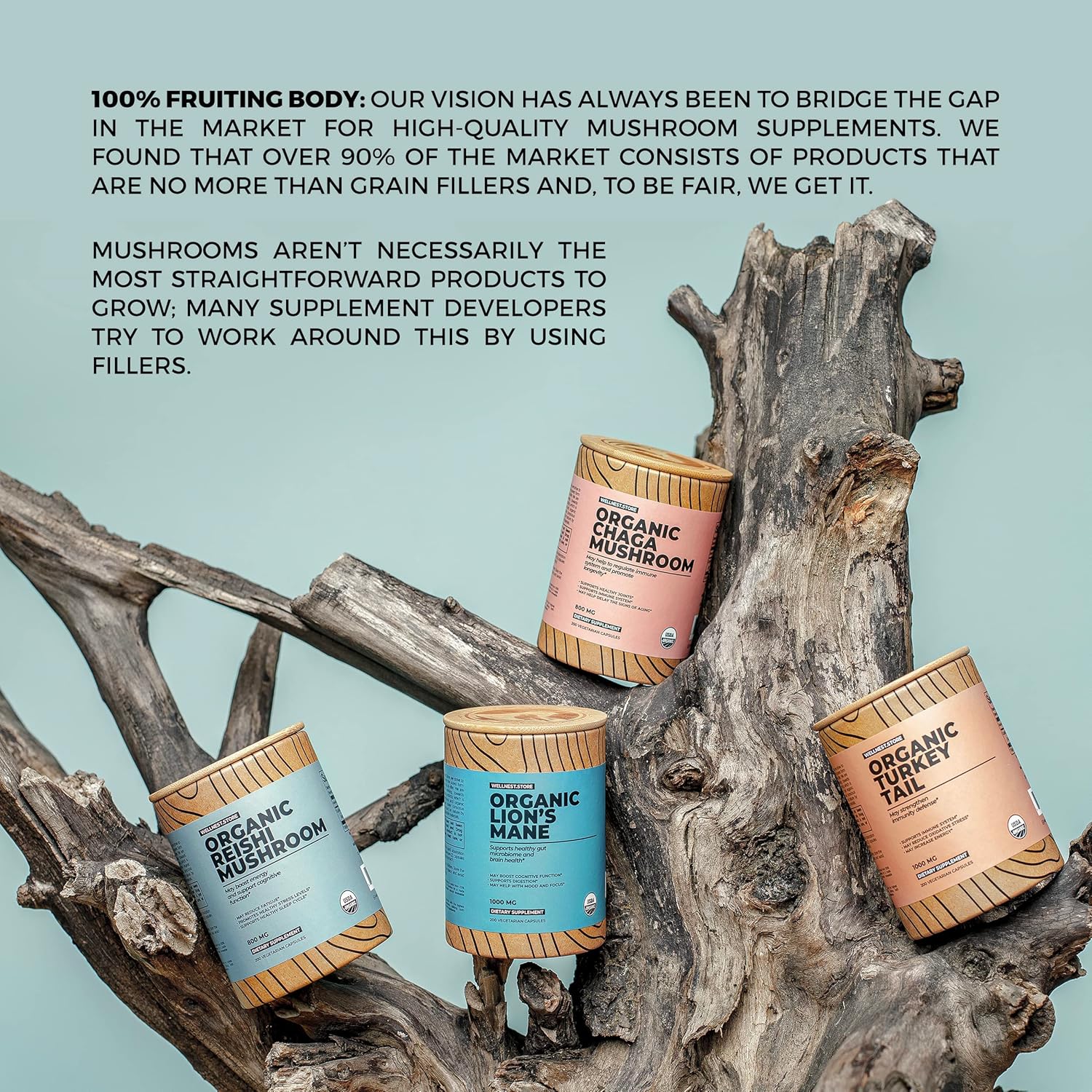 Organic Turkey Tail Mushroom Extract Capsules for Immune Support and Energy Boost - 60 Veggie Capsules