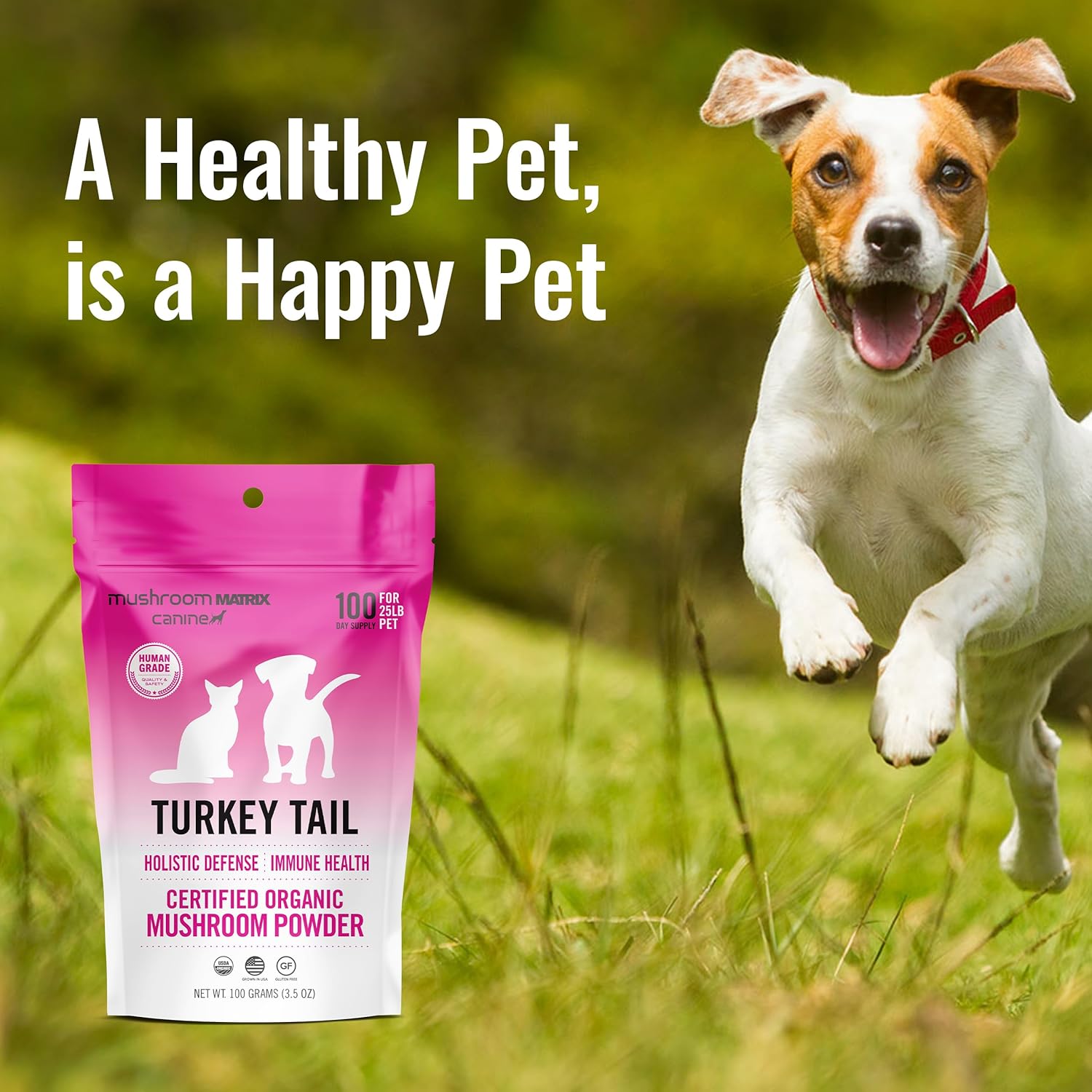 Organic Turkey Tail Mushroom Powder for Pets - Immunity Support & Holistic Defense - 100g, 3.5oz - Made in USA