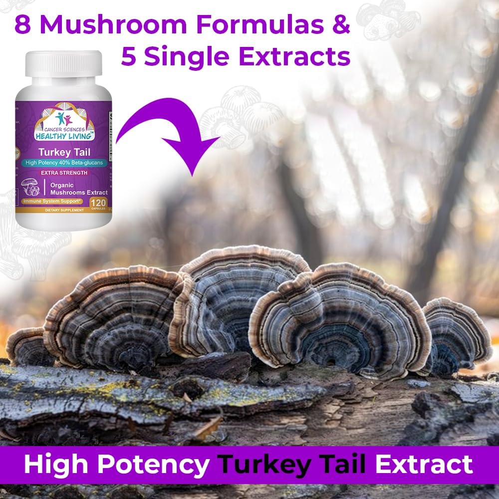 Organic Turkey Tail Mushroom Supplement 1500mg - High Potency Beta-Glucans for Gut Health & Immune Support - 120 Capsules