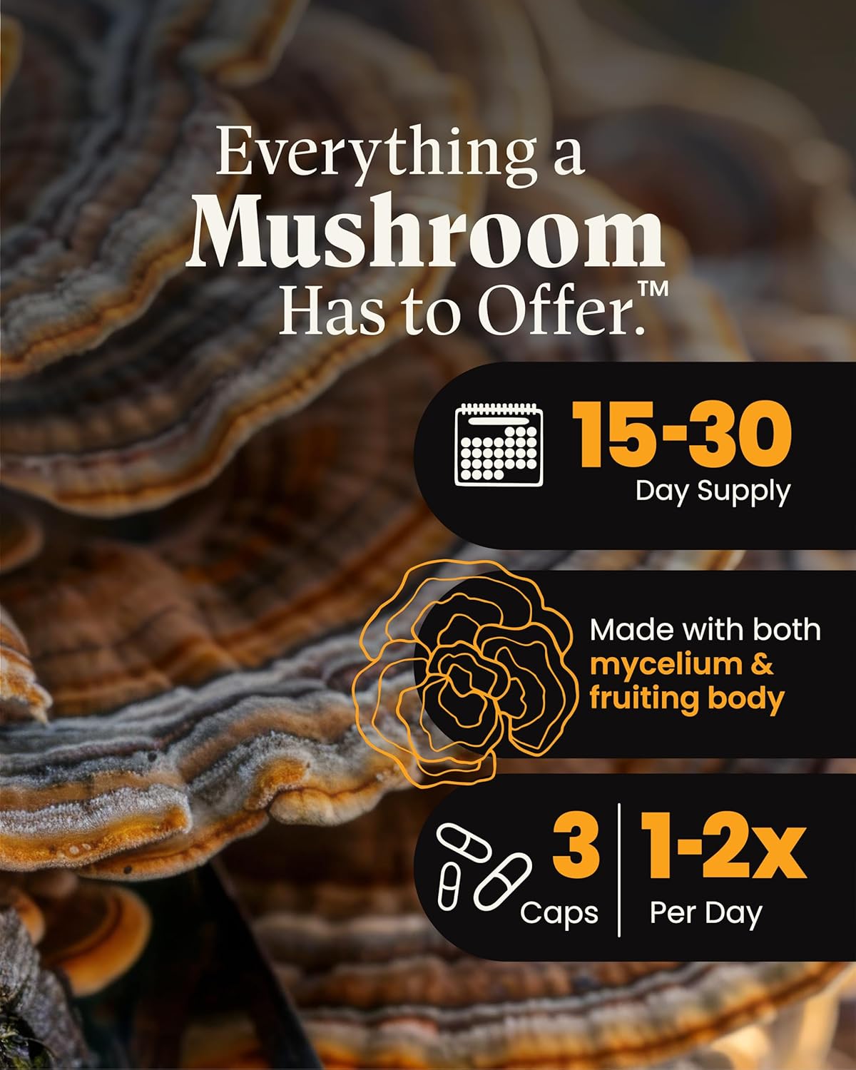 Organic Turkey Tail & Reishi Mushroom Capsules for Immune Support, Energy & Vitality - Herb Pharm Mushroom Wellness Blend, 90 Vegan Capsules