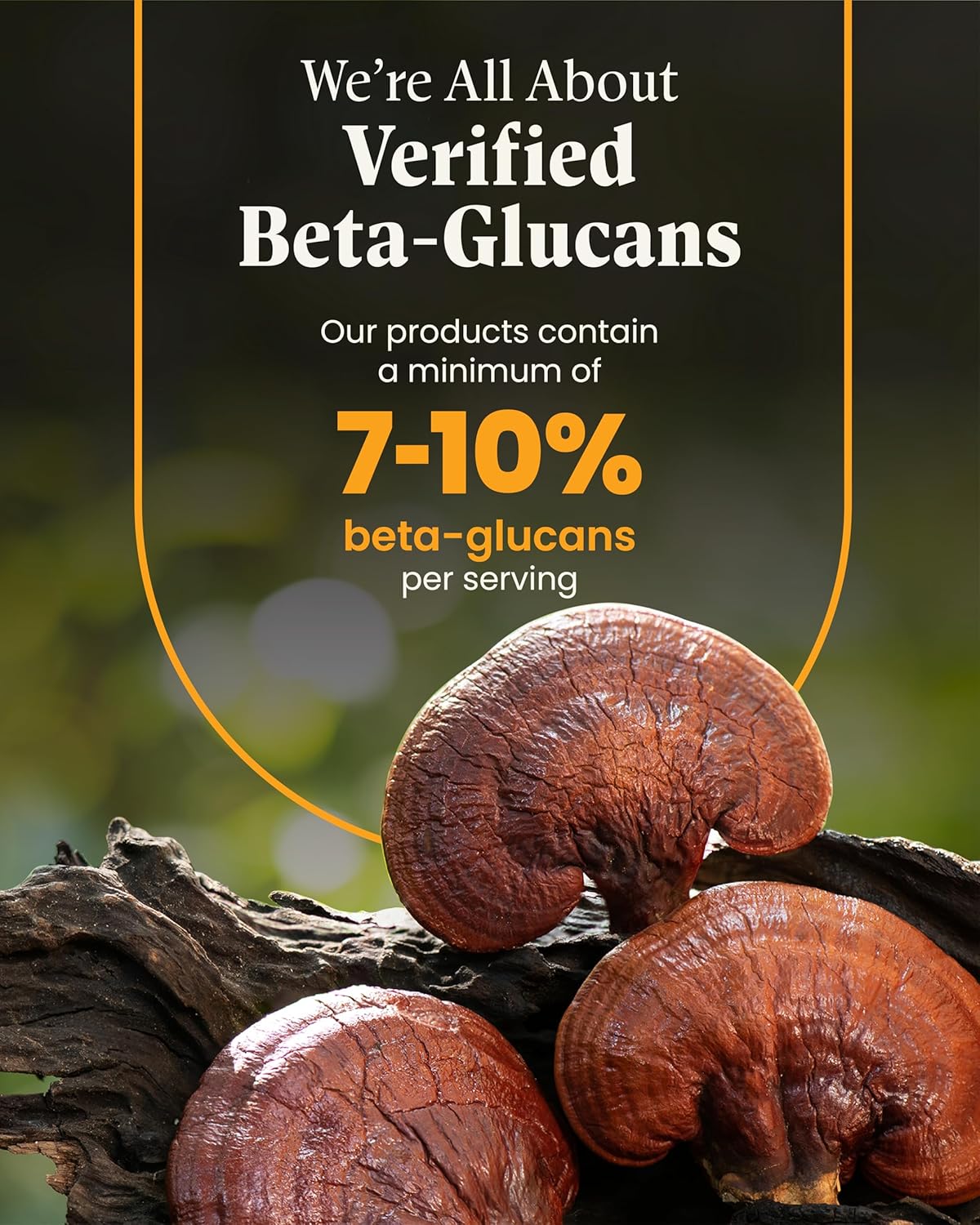 Organic Turkey Tail & Reishi Mushroom Capsules for Immune Support, Energy & Vitality - Herb Pharm Mushroom Wellness Blend, 90 Vegan Capsules