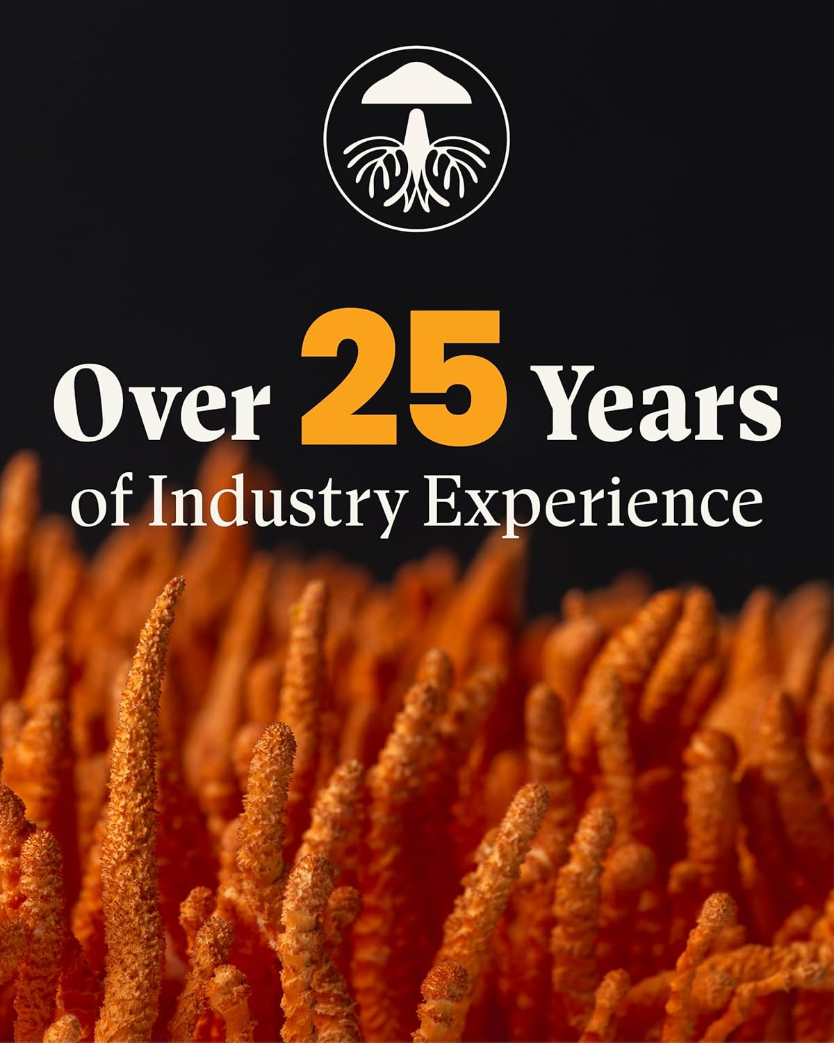 Organic Turkey Tail & Reishi Mushroom Capsules for Immune Support, Energy & Vitality - Herb Pharm Mushroom Wellness Blend, 90 Vegan Capsules