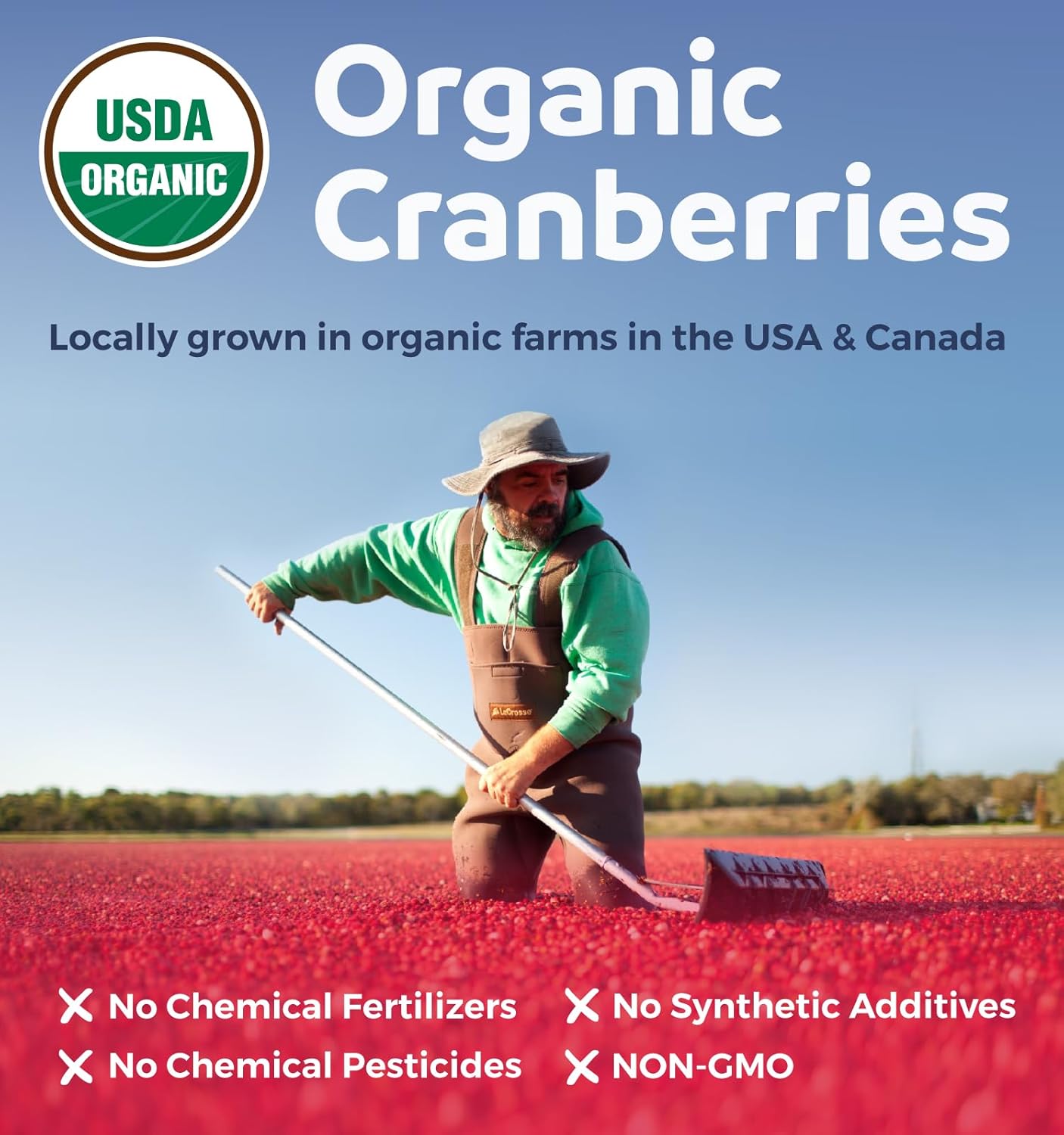 Organic Turmeric & Cranberry Bundle - 4-Month Supply with Black Pepper & Ginger - 120 Capsules of Each
