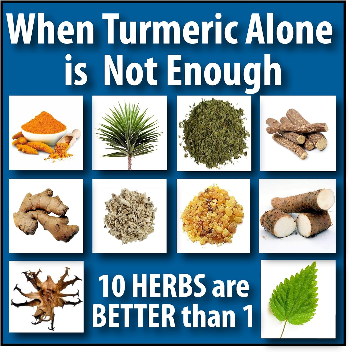 Organic Turmeric-Curcumin Joint Support Supplement with 9 Herbs - 120 Capsules