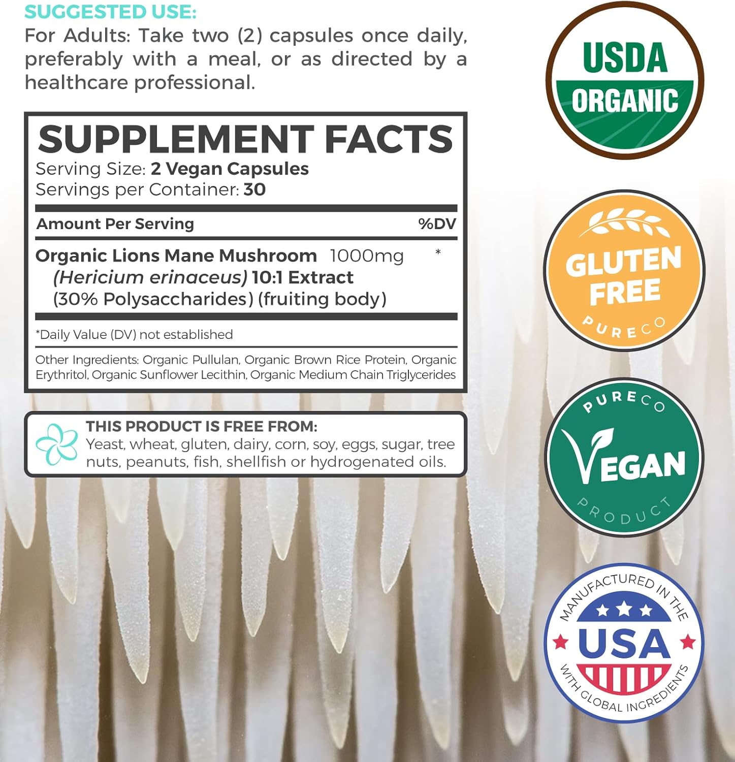 Organic Turmeric & Lions Mane Bundle - Turmeric Curcumin with Black Pepper & Ginger (120 Caps) + Lions Mane Mushroom 10:1 Extract (60 Caps)
