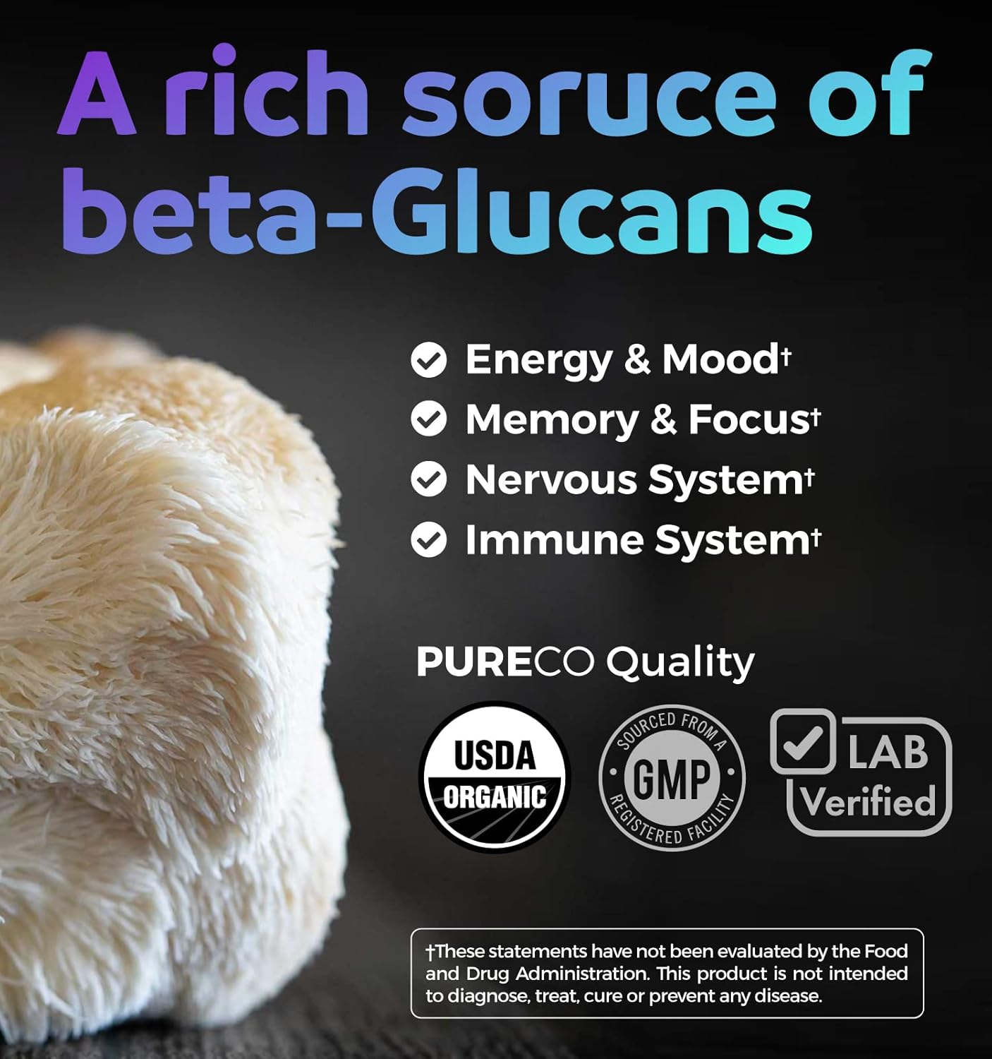 Organic Turmeric & Lions Mane Bundle - Turmeric Curcumin with Black Pepper & Ginger (120 Caps) + Lions Mane Mushroom 10:1 Extract (60 Caps)