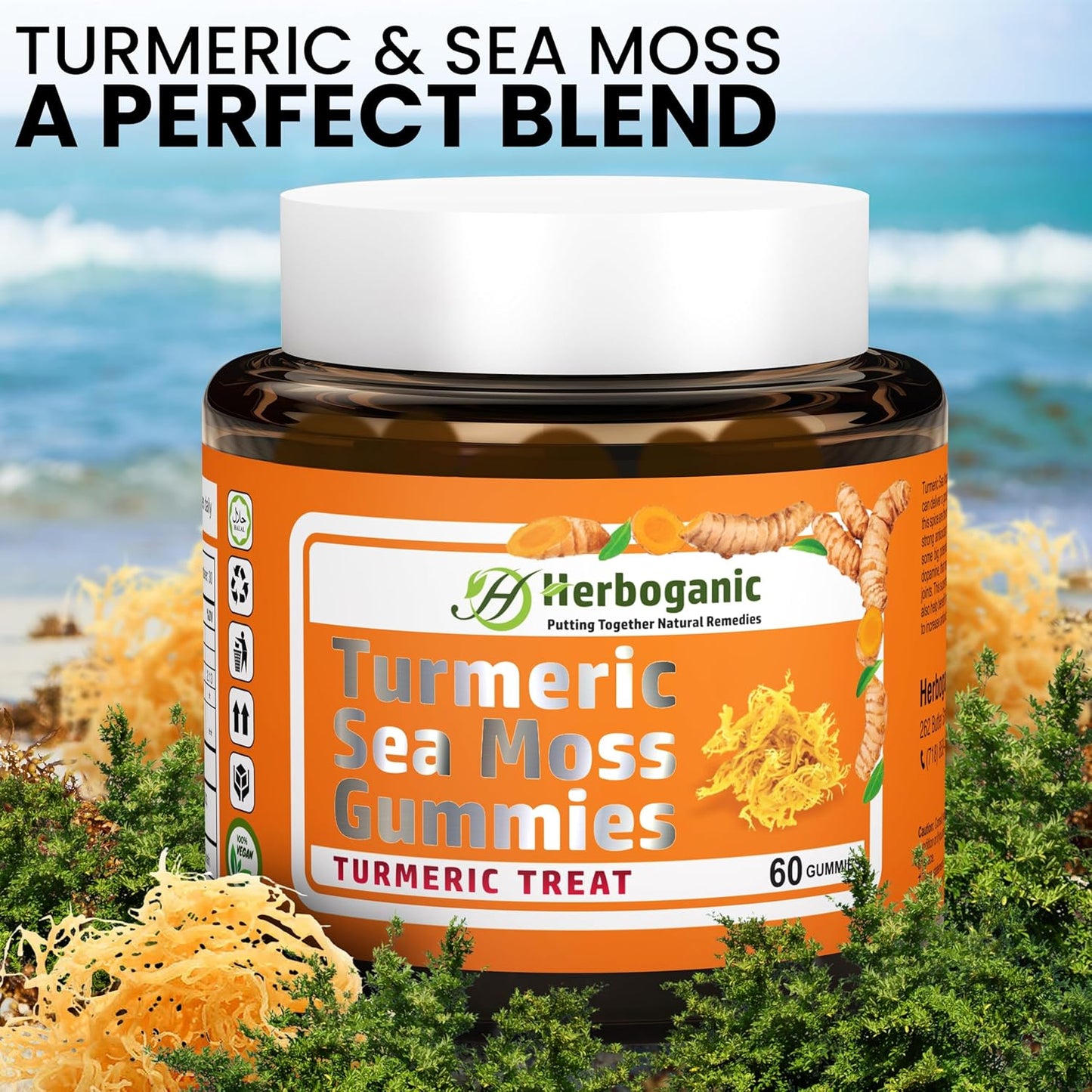 Organic Turmeric Sea Moss Gummies - Herbal Supplement for Skin & Energy Support with Sea Moss, Boost Immunity - 60 Gummies