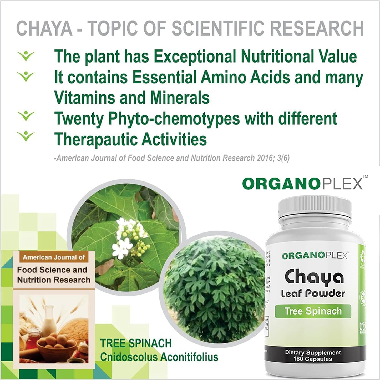 Organic V-HealthTech Chaya Leaf Powder in 180 Veggie Capsules - ORGANOPLEX Supplement