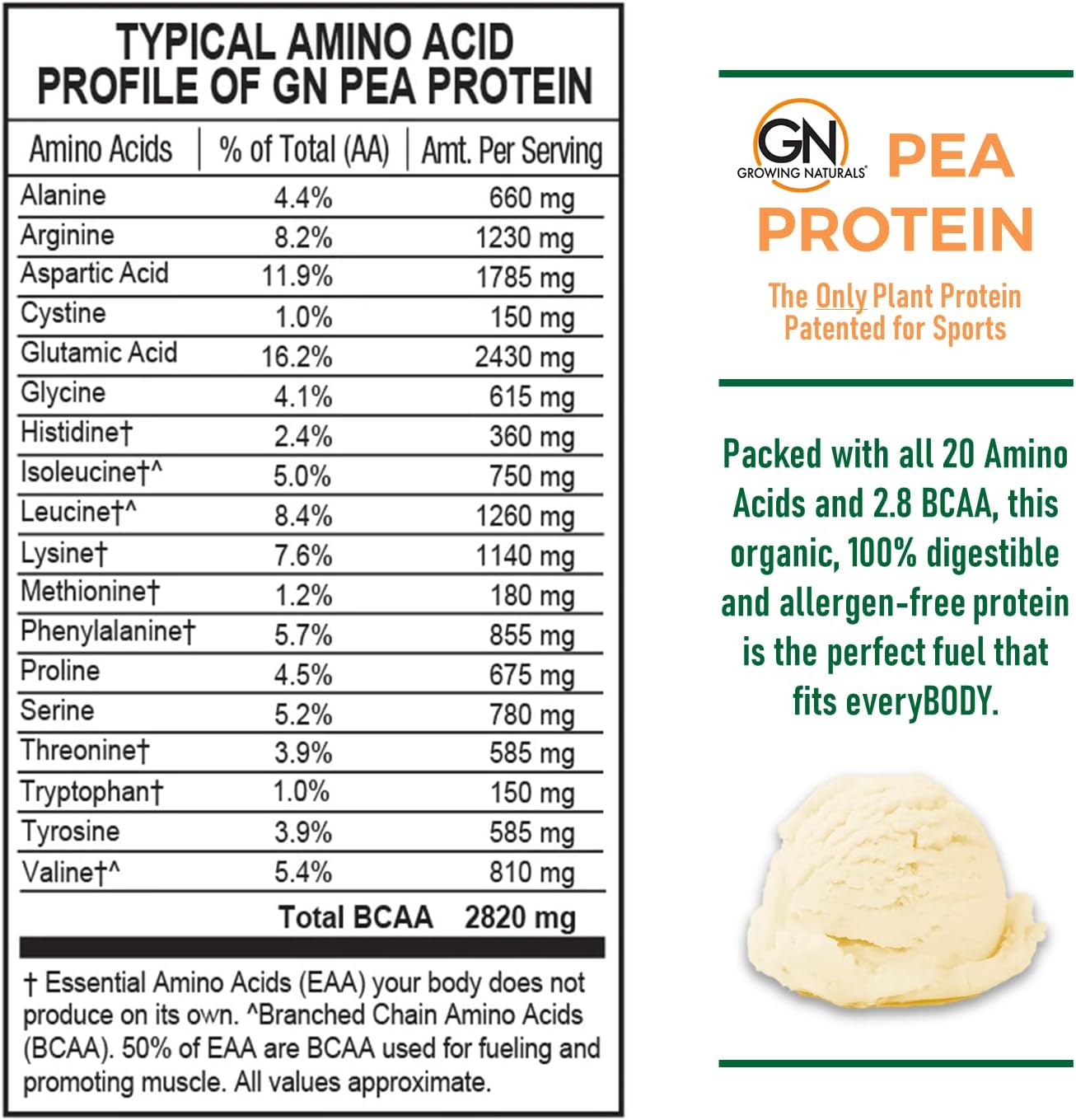 Organic Vanilla Blast Pea Protein Powder - Vegan, Plant-Based, BCAA, Low-Carb, Low-Sugar - 1lb Pack