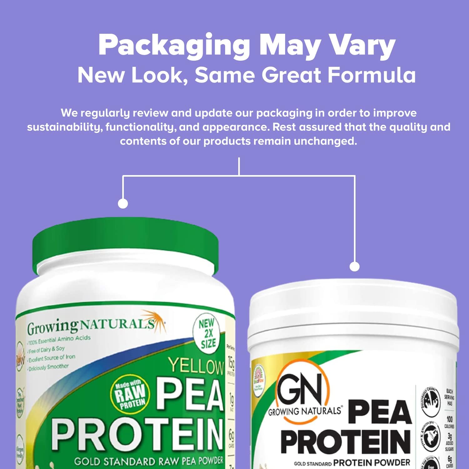 Organic Vanilla Blast Pea Protein Powder - Vegan, Plant-Based, BCAA, Low-Carb, Low-Sugar - 1lb Pack