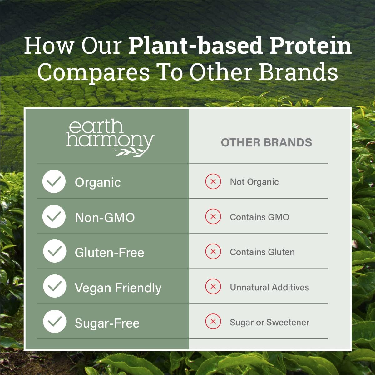 Organic Vanilla Plant Protein Powder for Men and Women - Vegan, Gluten-Free, Plant-Based Protein Shakes - 18g - 21.5 Oz