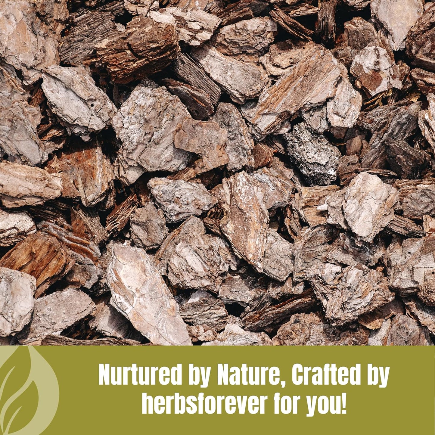 Organic Varuna Crataeva Nurvala Powder 230g - Non-GMO, Vegan Extract for Bladder & Kidney Support, Natural Balance & Wellness