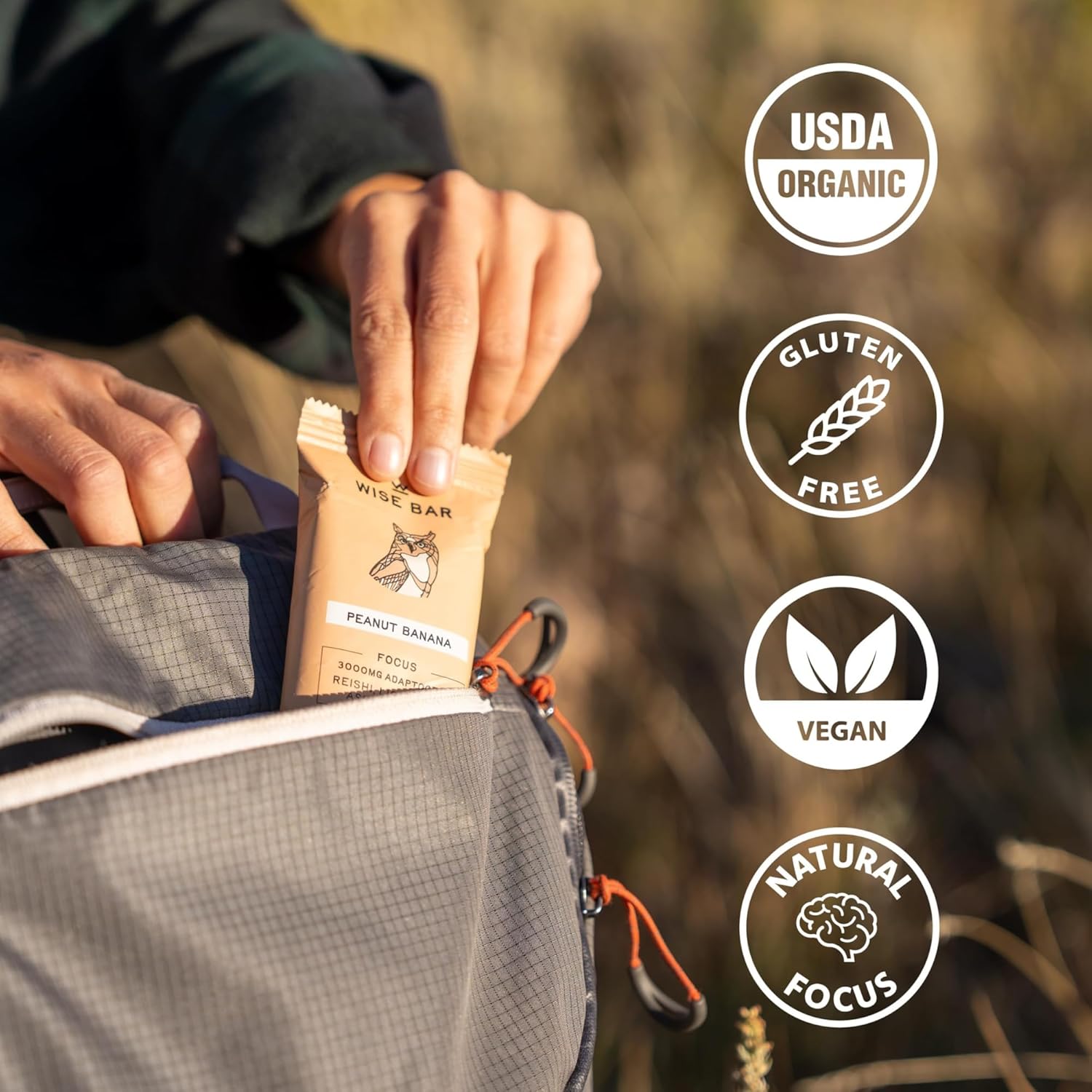 Organic Vegan Adaptogen Mushroom Bars for Energy & Focus, Lemon Ginger Flavor, 12 Pack