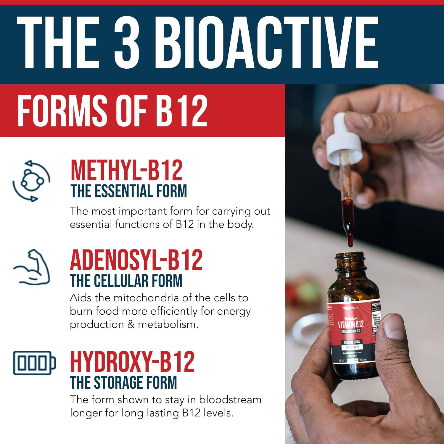 Organic Vegan BioActive Vitamin B12 Complex with Methylfolate - 180 Servings