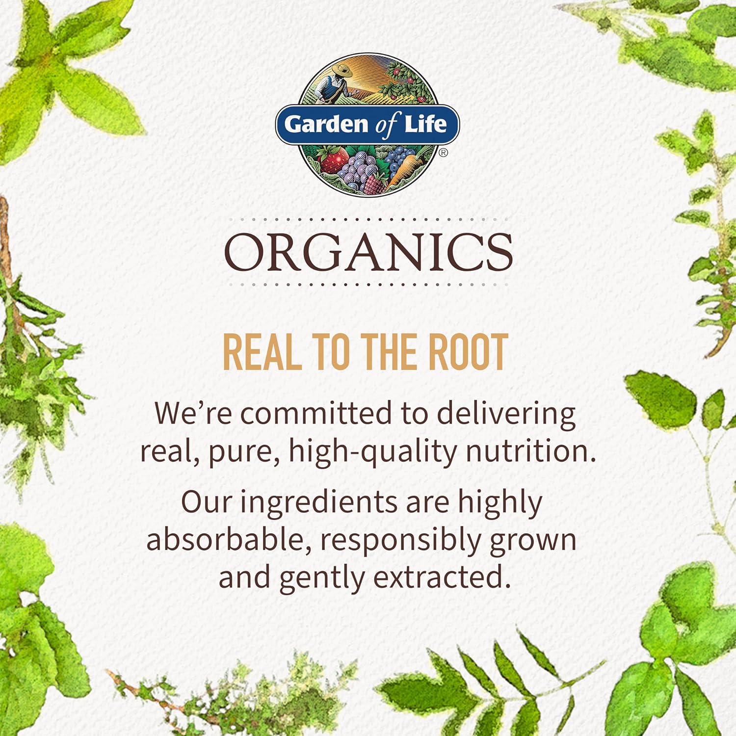 Organic Vegan Elderberry Immune Syrup for Kids & Adults - 6.59 fl oz - Sambucus, Echinacea, Zinc, Vitamin C - Sugar-Free - Gluten Free Herbal Supplement by Garden of Life Organics